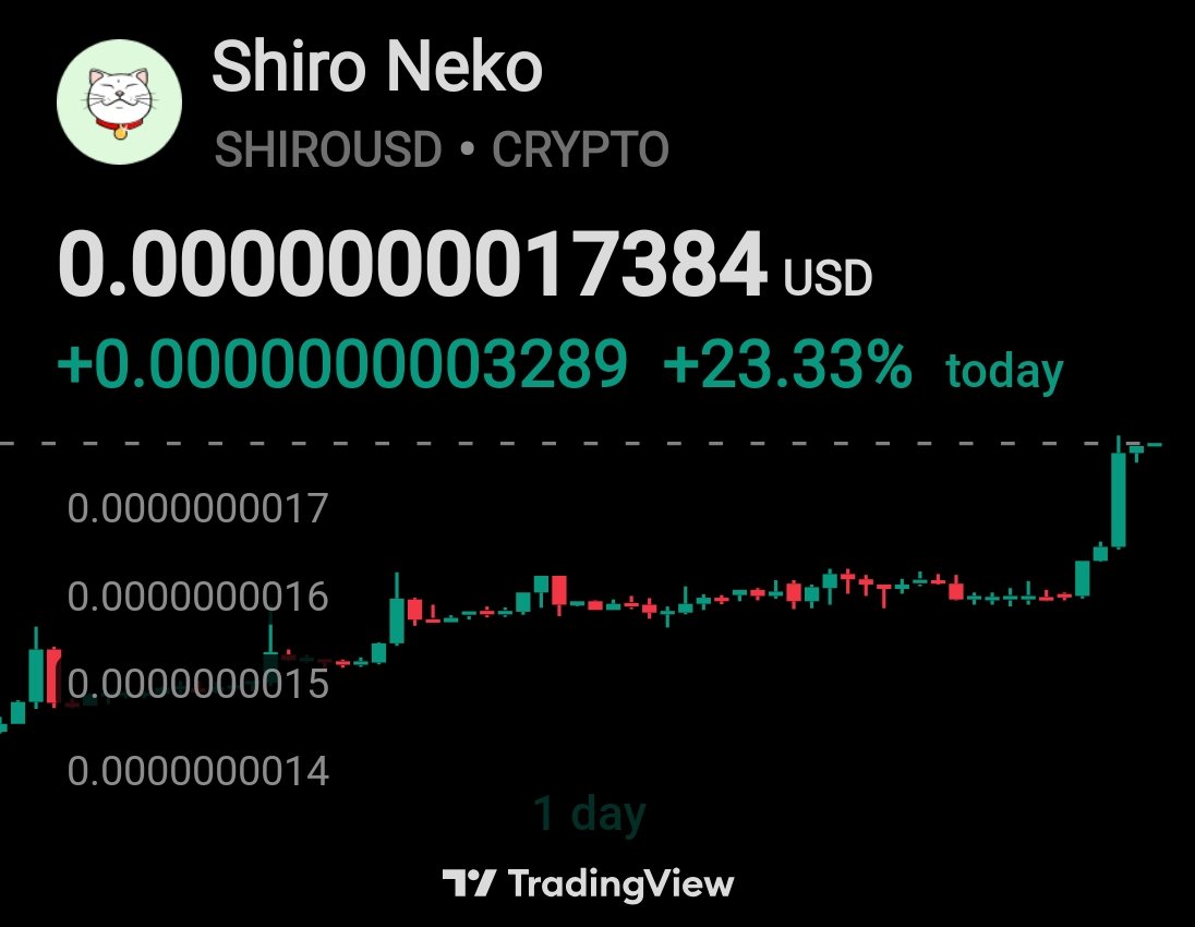 Suizen 🌬️ tweet media