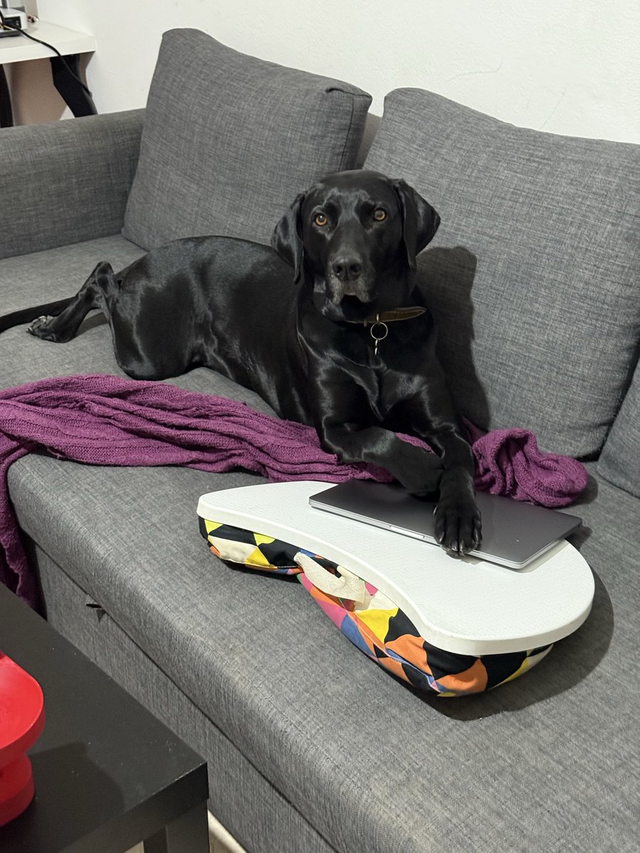 Giustino 🍩 tweet media