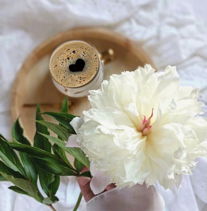 شيماء tweet media