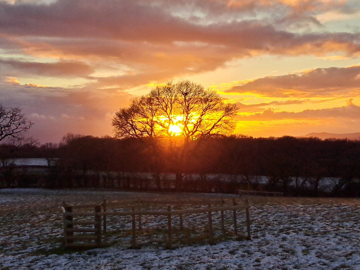 Conrad Palmer tweet media