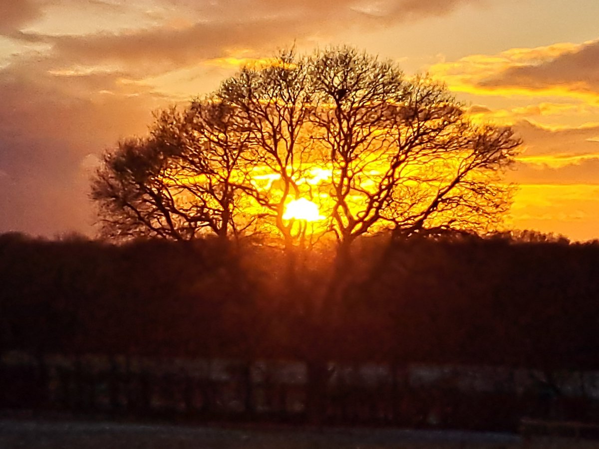 Conrad Palmer tweet media