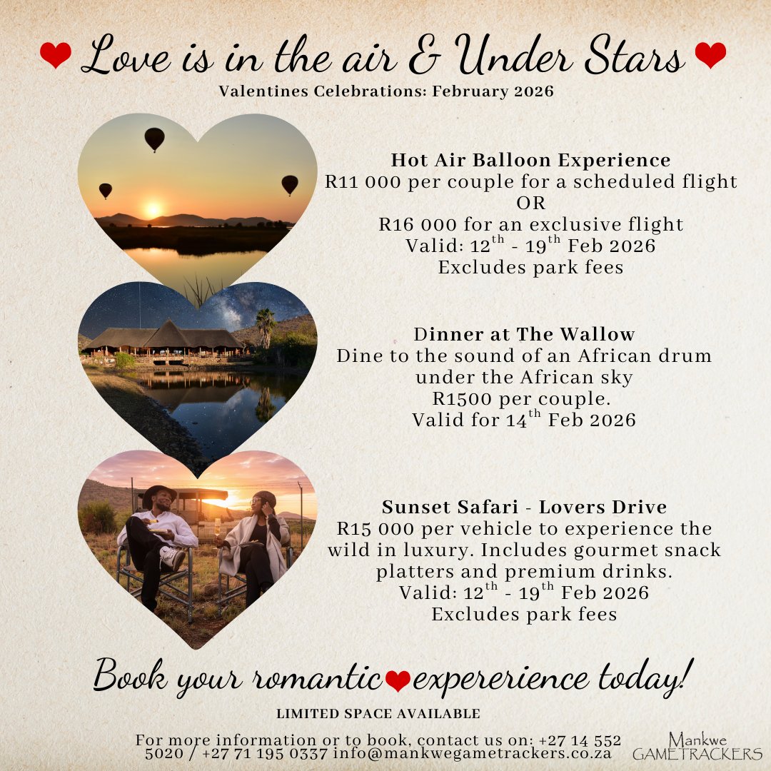 Spoil your special someone this Valentines🌅🎈

#Valentines2026 #SafariRomance #LoveUnderTheStars #ValentinesSpecials