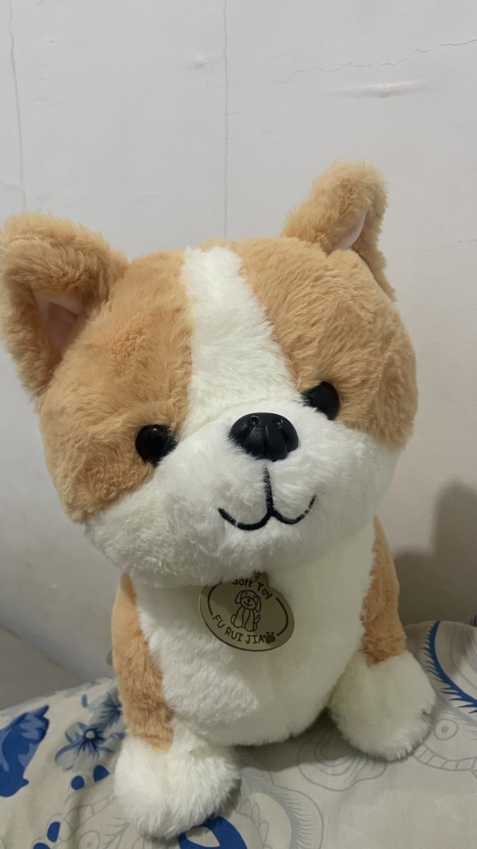 felithania's tweet photo. karena habis ultahhh jd mari kita list down hadiah dr Archieee:

1. pouch chocobii soalnya pouch aku udah buluk 💚
2. boneka adekkk ya amponnn kiyowo 🐶 
3. kaos kaki pilates, ini biar rajin lg kayanya yah 😙
4. parfummm 🍃 https://t.co/UdKFAuZzFs