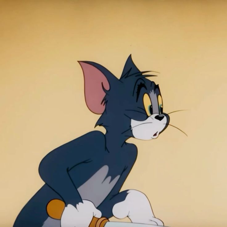 say hi to tom  or have a terrible 2026