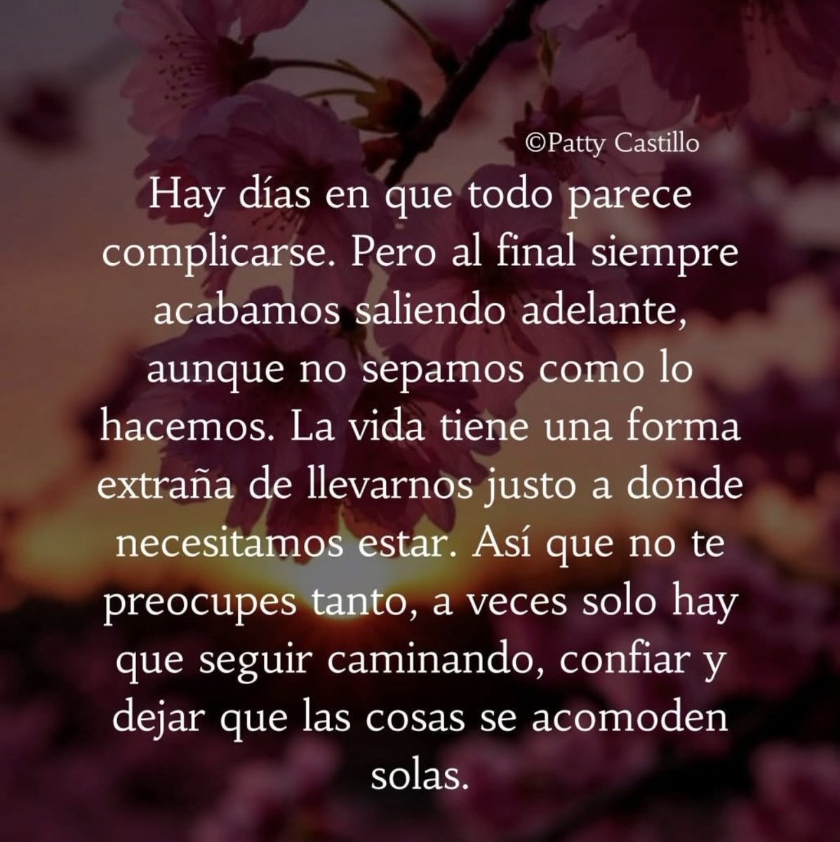lety_roza's tweet photo. https://t.co/RZa7zyYAXB