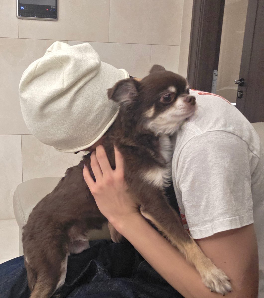 geonhoism's tweet image. not a single thought behind those eyes 😭😭😭