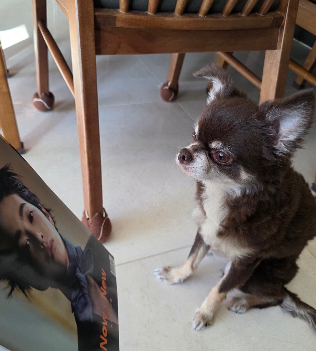 geonhoism's tweet image. not a single thought behind those eyes 😭😭😭