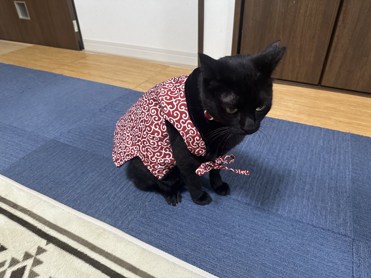 黒猫 (@kuroneko071975) / Posts / X