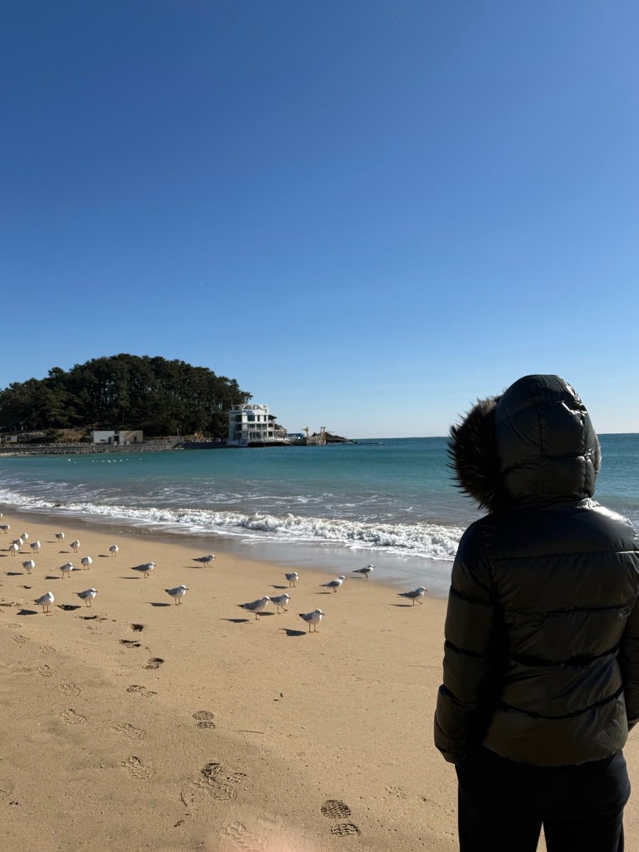 친구의 부산 여행 사진이 너무나 부산갈매기와의 17:1 맞짱의 추억 처럼 나옴 어째서 대치 중인 건데요