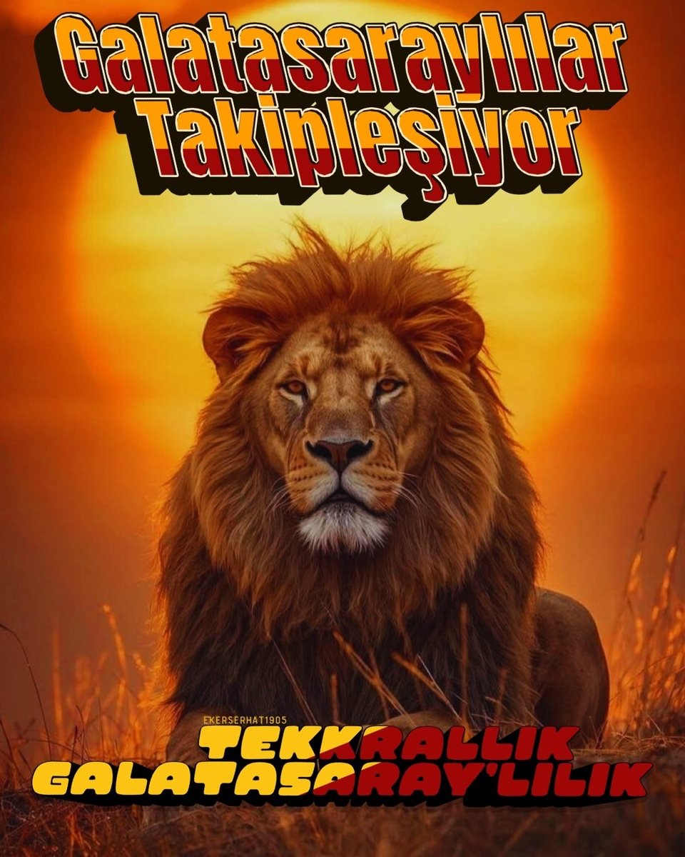 10-K altı Galatasaraylı hesap  kalmasın, herkes takibe takip yapsın. 

💛❤️ GS Postu'dur

 BEĞEN
 GT YAP 
 RT YAP 
 TAKİP ET

#GSlilerTakipleşiyor