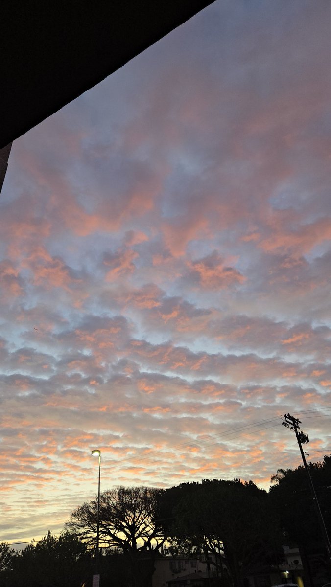 Valerie Geller tweet media