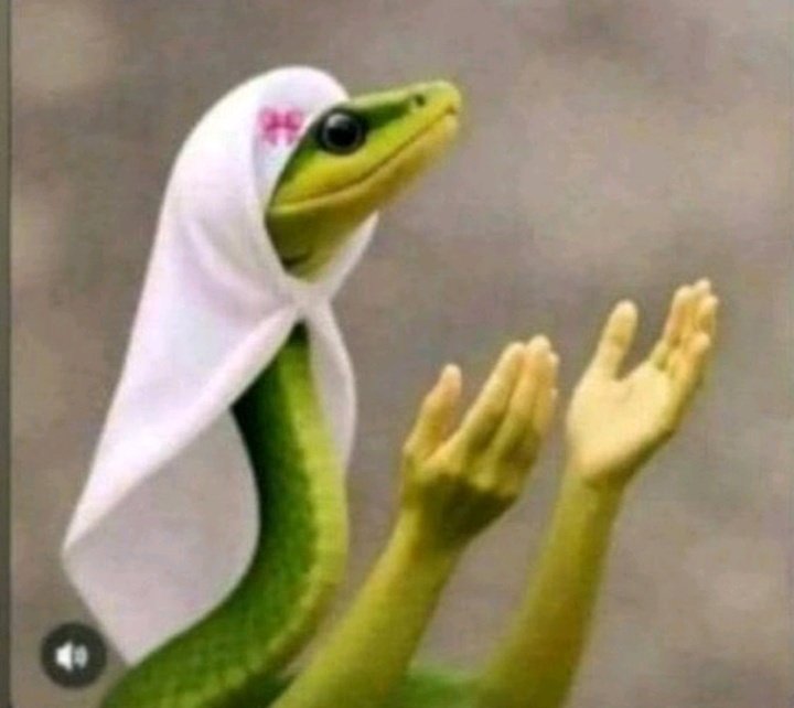 frank_ril's tweet photo. @abazwhyllzz God when 🥲 https://t.co/BpTLjj8CQV