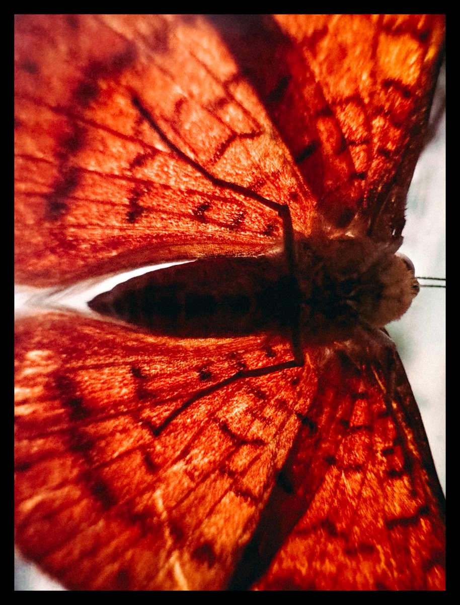 hoy me siento así de diminuto amigos 😔