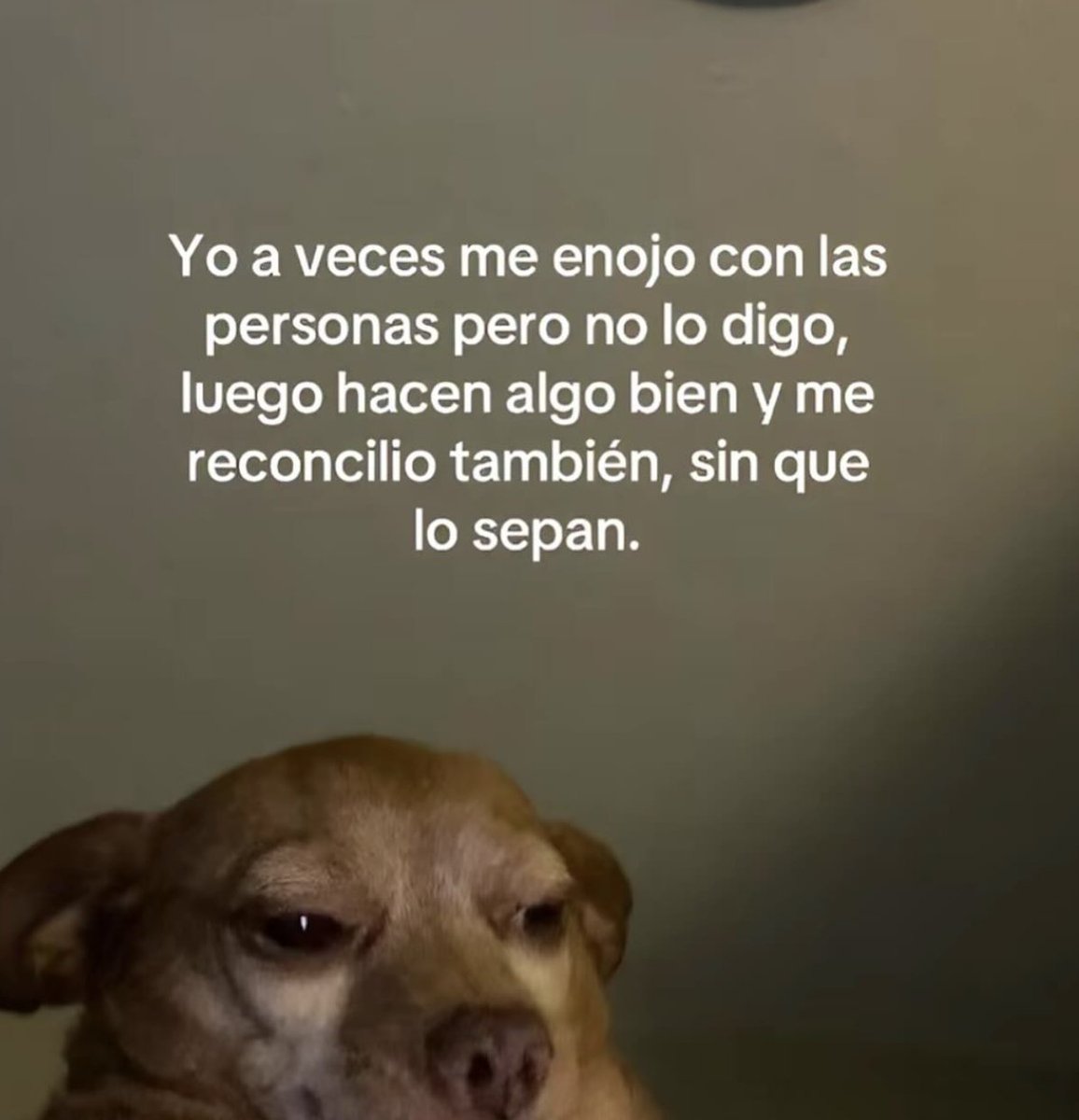 Animalesaprieto's tweet photo. https://t.co/M8d1iNbK6v