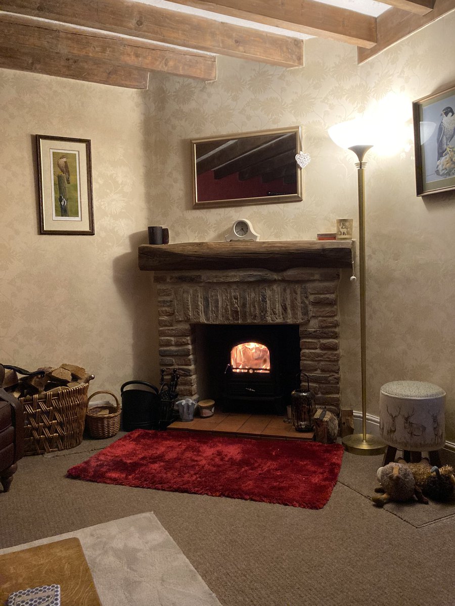 Lizzy Lou tweet media