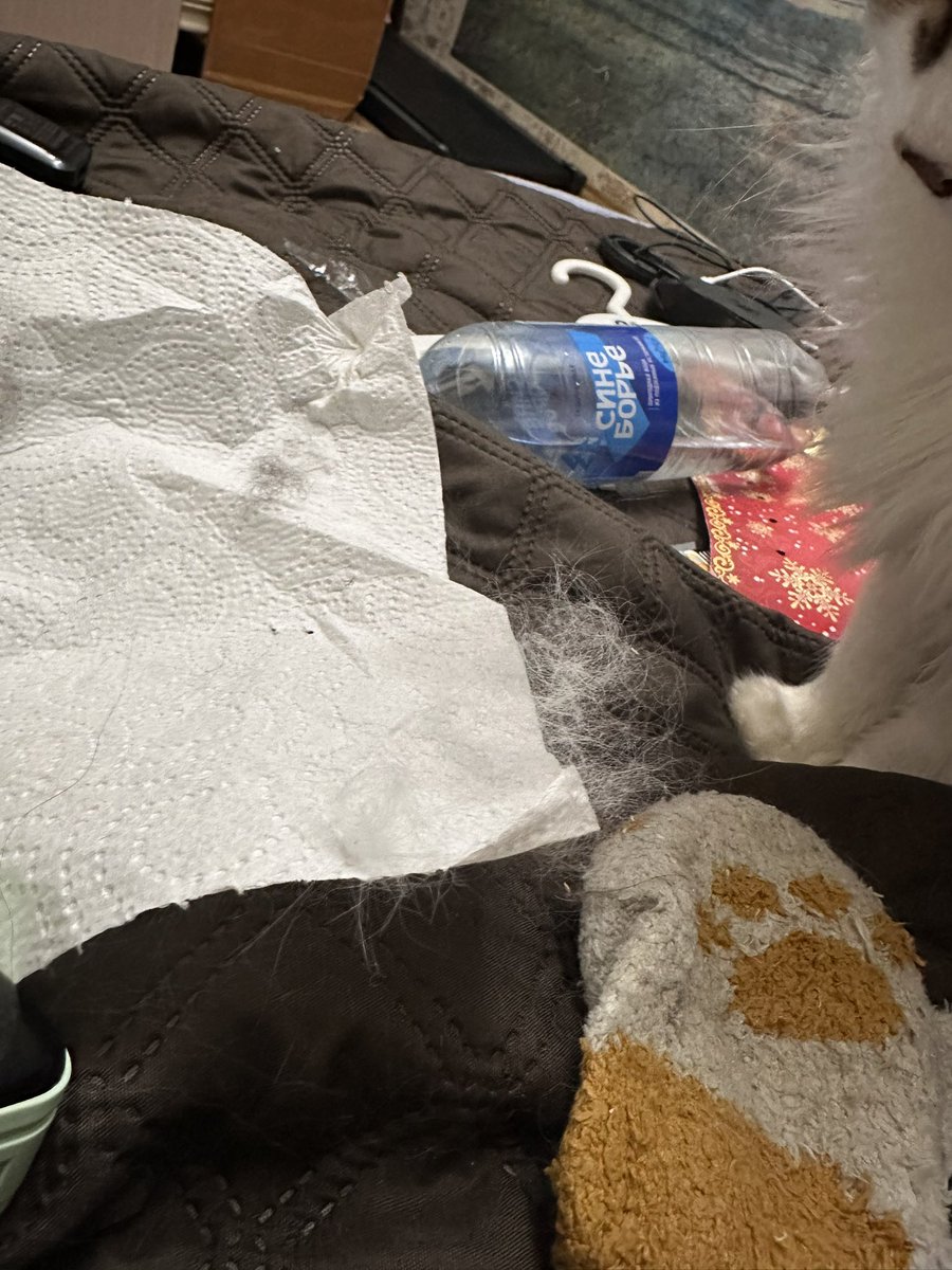 Да нету дома никакой шерсти. Не понимаю почему все говорят про шерсть по всему дому, не вижу никакой шерсти