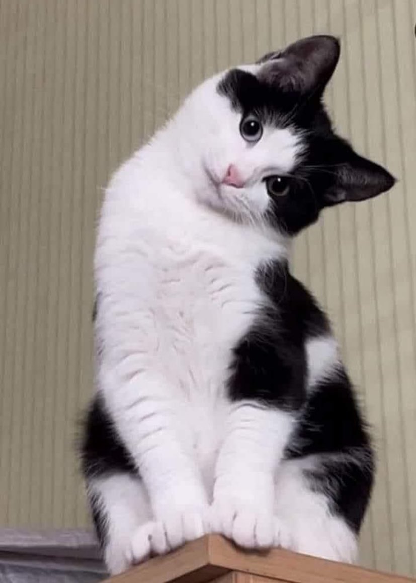 Seni neden işe alalım özeliklerin ne senin

Çünkü lütfenn