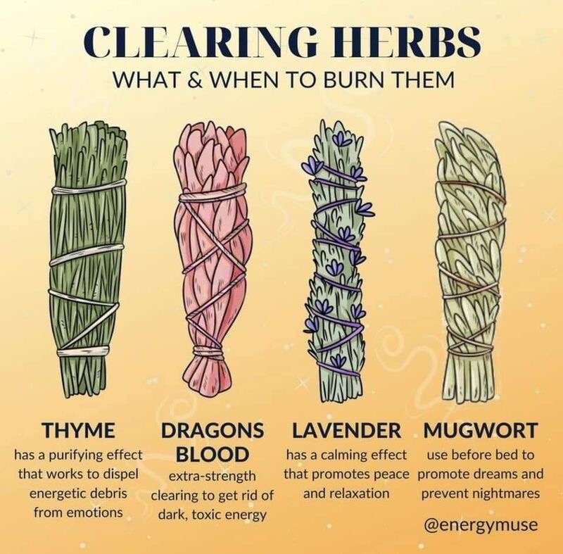 SellersDale's tweet image. Clearing herbs explained. #lavender #mugwort #thyme #dragonsblood #smudging #clearing
dalesellers.com