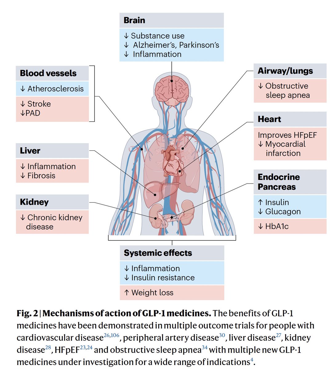 Even though the 1st GLP-1 drug was approved 20 years ago, there are dozens  of new molecules and combinations in the pipeline , including muscle  building drugs (Table). A new @NatureMedicine review