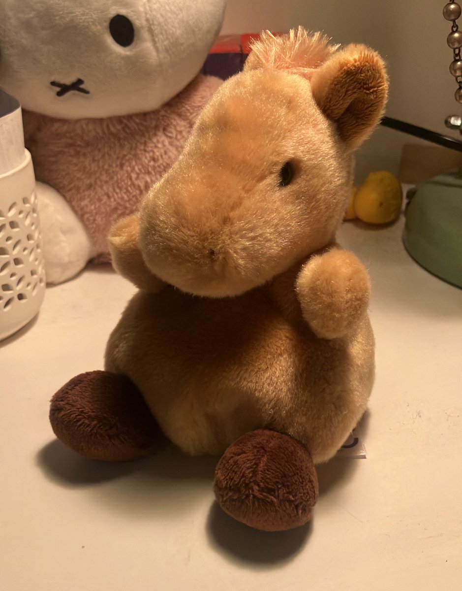 bought this little guy to bring me luck for 2026 but instead it gave me sleep paralysis