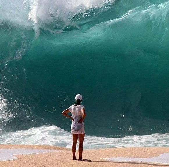 Paul Mit tweet media