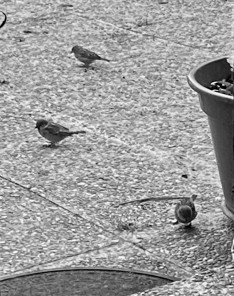 Todos los días vienen a verme…