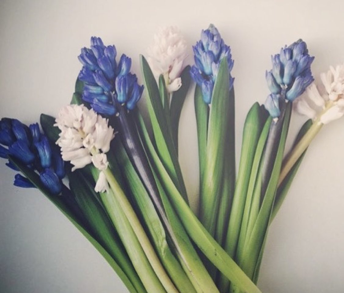 Älskar enkelheten i dessa och doften. Blir lite vardagslyx på något sätt 🥰