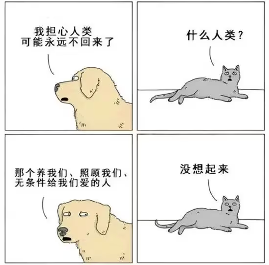 Cldeop's tweet image. 