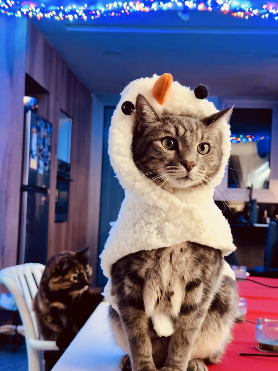 Самый люксовый новогодний декор 👑