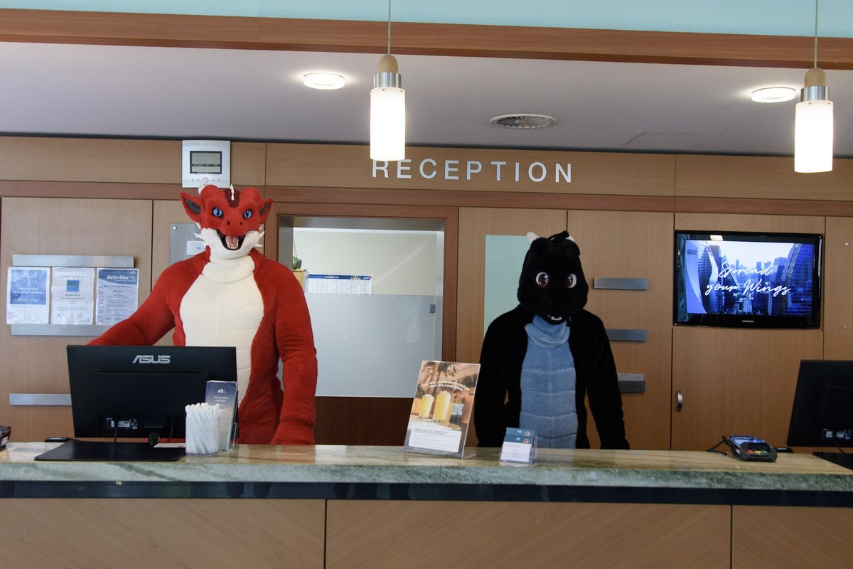 Freunde auf 2 Pfoten e. V. tweet media