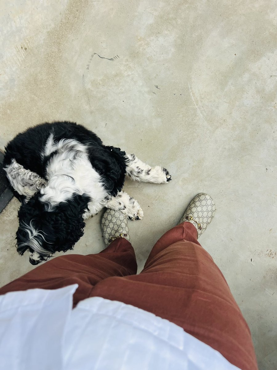 Marc_percy (@marcmarcpercy) on Twitter photo 