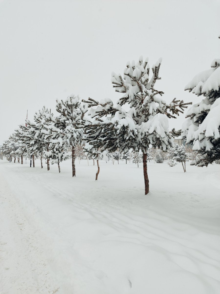 Helin (@ablakhelin0404) on Twitter photo 