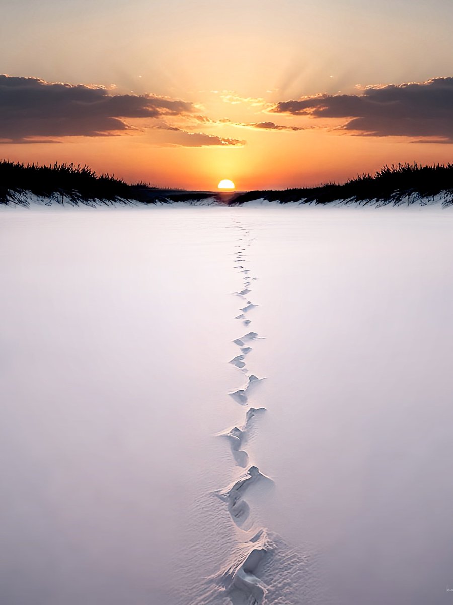 Kathrin Federer  kathrinfederer.ch tweet media