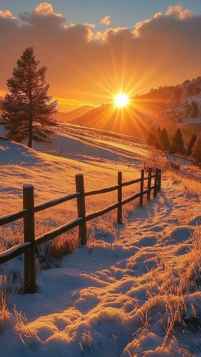 bellalilli161's tweet image. #sunsetlovers
#sunsetphotography
#NaturePhotography