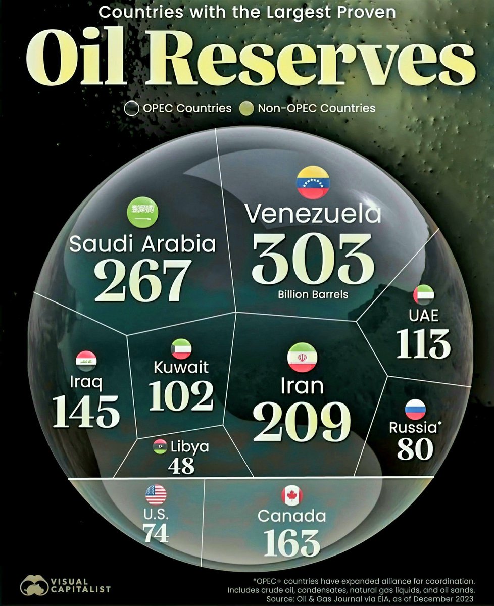 🛢 Top 10 Countries with Oil Reserves

1. 🇻🇪 Venezuela – 303 Billion Barrels
2. 🇸🇦 Saudi Arabia – 267
3. 🇮🇷 Iran – 209
4. 🇨🇦 Canada – 163
5. 🇮🇶 Iraq – 145
6. 🇦🇪 UAE – 113
7. 🇰🇼 Kuwait – 102
8. 🇷🇺 Russia – 80
9. 🇺🇸 United States – 74
10. 🇱🇾 Libya – 48

📌 As of Dec 2023