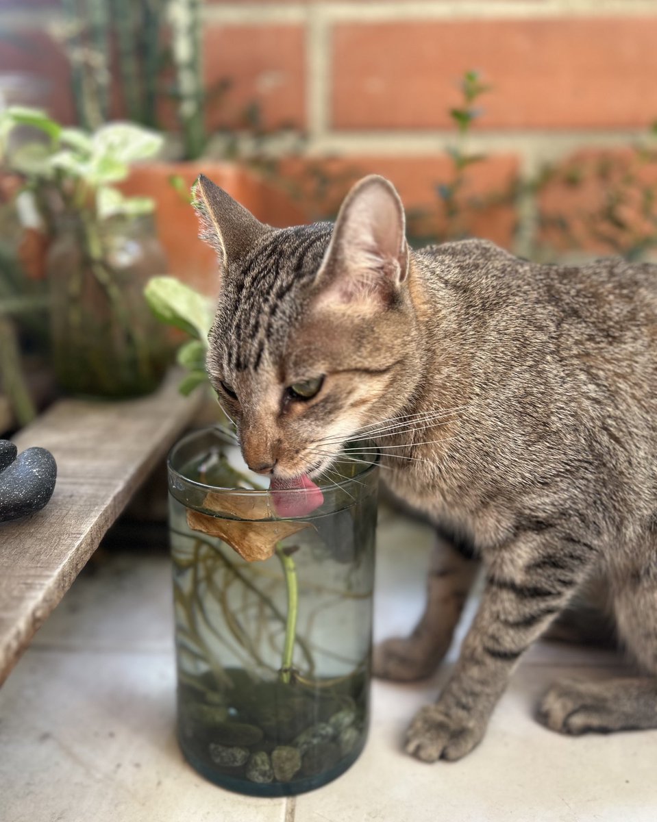 Dav!d🏳️‍🌈 tweet media