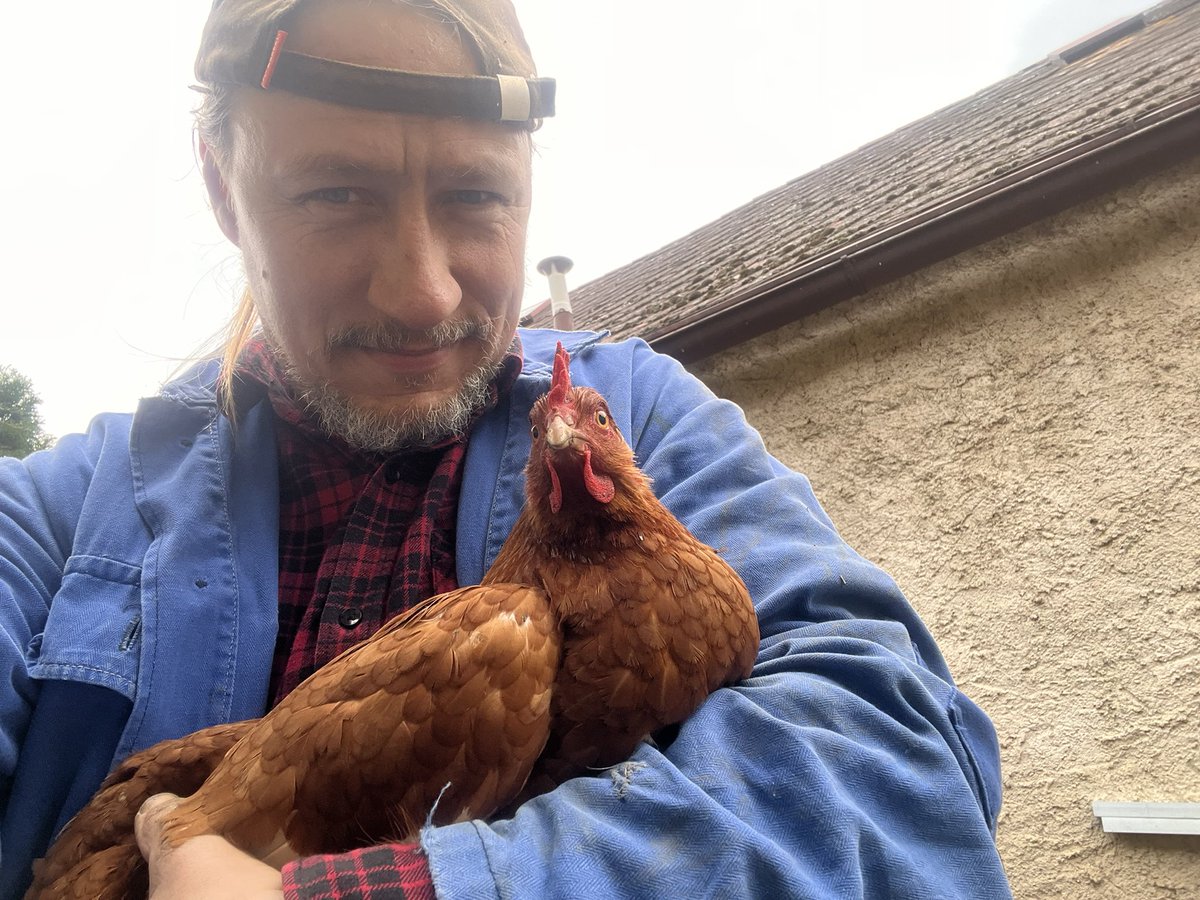 Náš milej zlatokop <a href="/LaurentiVipera/">⛏️🤠⛏️ Vipera Laurenti ⛏️🤠 ⛏️</a> si stěžoval, že vidí málo mých slepic…😉😉