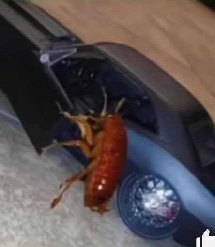 Yazdiklarinin hepsinin trde ayni sekilde yasaniyor olmasinin verdigi hissiyat