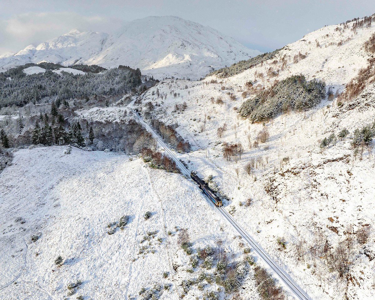 Dave Johnston tweet media