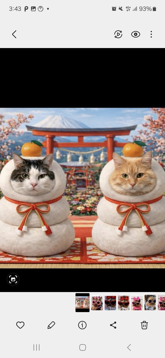 もち (@3syokudanngo) / Posts / X