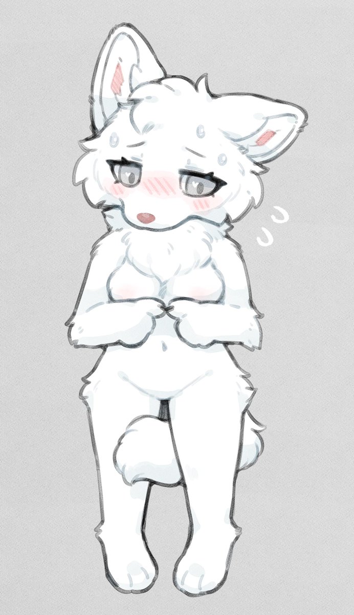 sillywolf tweet media