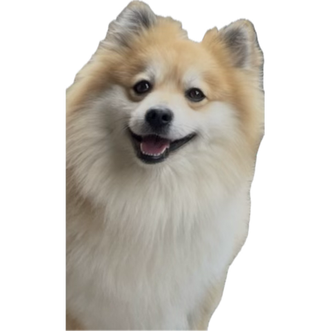 Sebastian tweet media