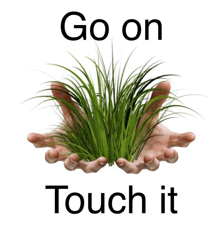 parcifap's tweet image. it's sunday bro

go touch grass or something

live a little, you only get one life

good night buddy