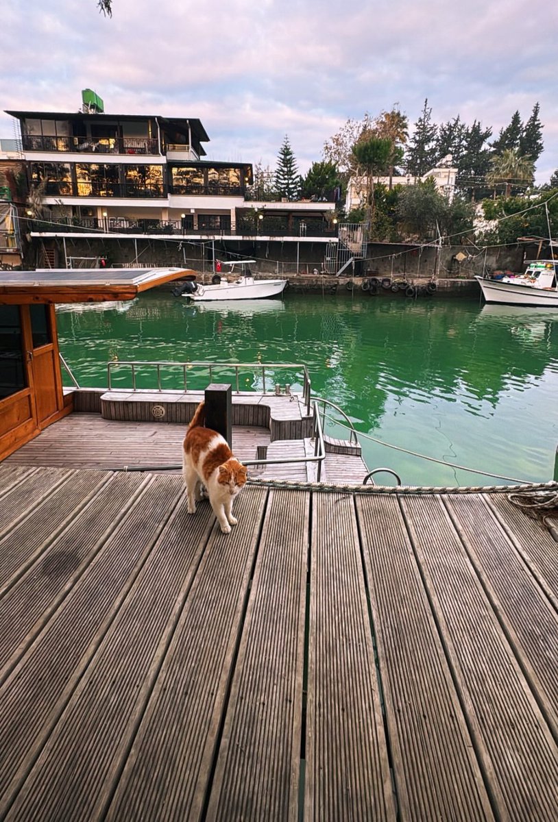 Hayat durup dinlendiğinde kalbinde çalan bir melodidir.#Arsuz