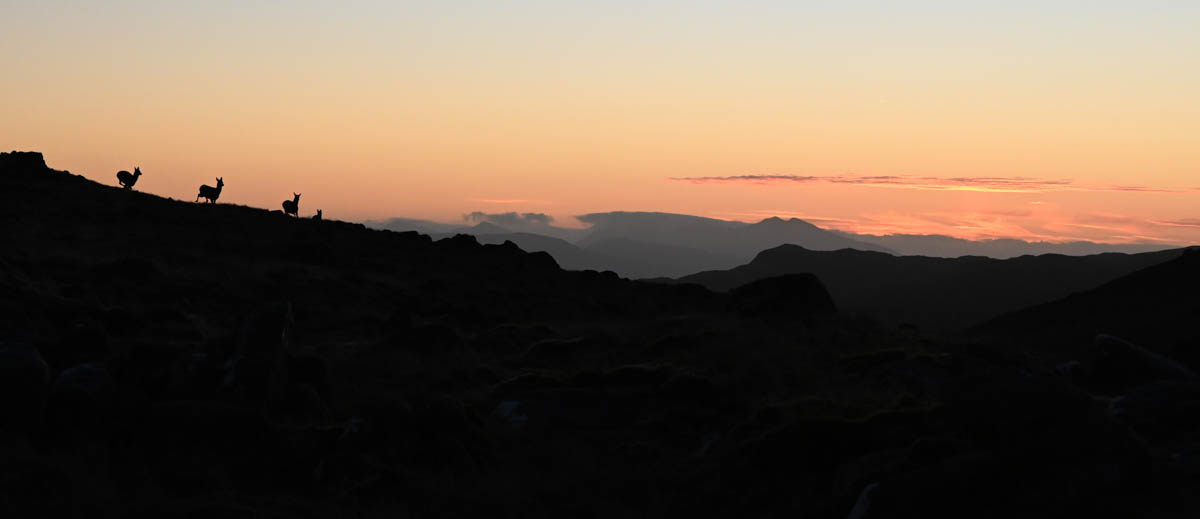 Spurtle284's tweet image. Beinn Mheadhoin from Loch Uisge. 24th December 2025 

kinleyhazel.wordpress.com/2025/12/24/bei…