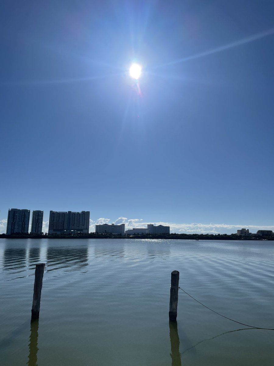 🛸 (@holasoypichi) on Twitter photo 