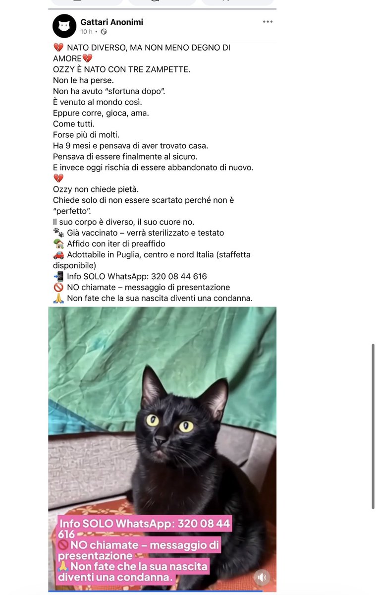 Stupid Lazio Memes (@stupid_lazio_memes) • Instagram photos and videos, image size:761x1200