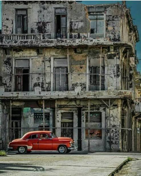 David Show tweet media