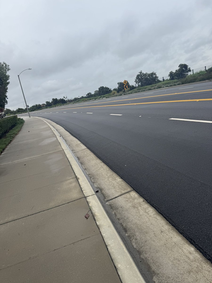 PapaFinch tweet media