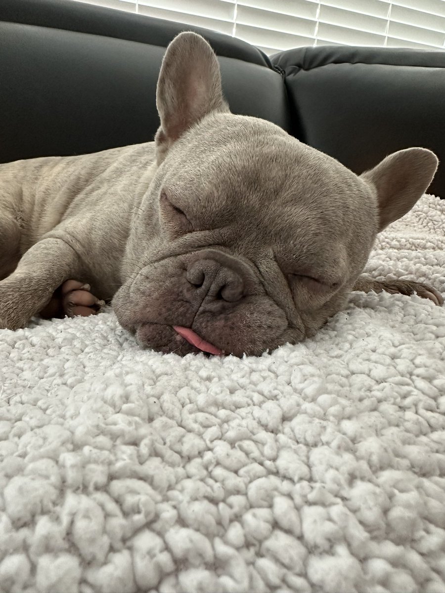 KoffeeKandi tweet media